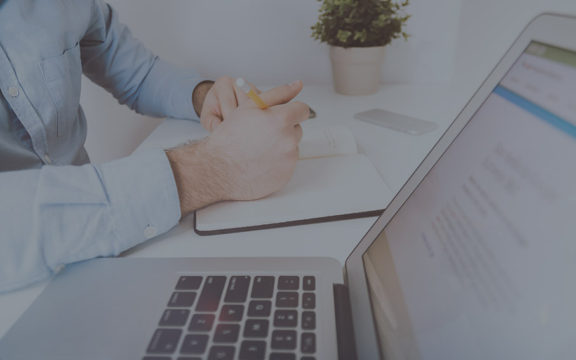 Business Development Executive