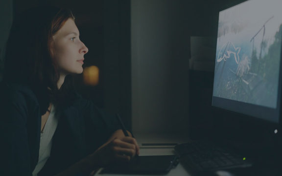 Frontend Developer (VueJS)